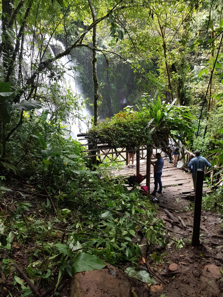 Enjoy the breathtaking view of The Macizo de Peña Blancas, surrounded by lush green forest scenery.Stunning view of The Macizo de Peña Blancas with green scenery of the forest 