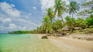 Palm trees and Torqouid water in Corn Island 