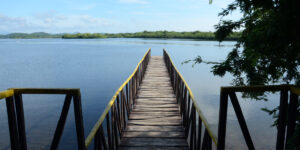 Lake view from a walking peer 