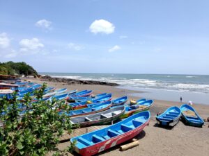 Fishing Boats on shore