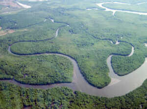 River stream of the natural reserve