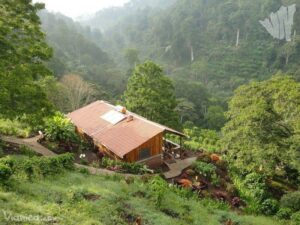 Cabin surrounded by fog
and cool climate