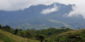 The term "Mogotón" refers to a mountain situated on the border between Nicaragua and Honduras