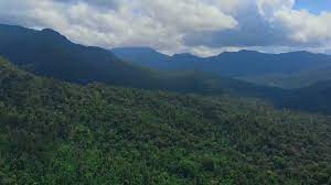 Cerro Saslaya National Park is located in the Bosawás Biosphere Reserve. It was declared National Park, encompassing the mountainous massifs of the Saslaya and El Toro hills, limited to the east and south by a broken line.